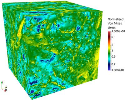 A Discrete Fracture Network Model With Stress-Driven Nucleation: Impact on Clustering, Connectivity, and Topology